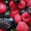 Berries