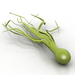 3D Plant preview