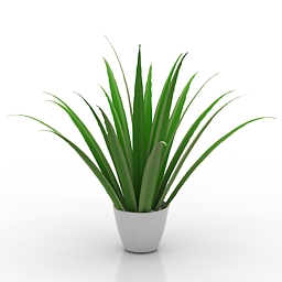 flower 3D Model Preview #341d6864