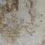 Stucco