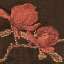 Textile