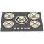Gas stove