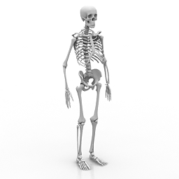 Download 3d cad models, 3d max textures, 3d help