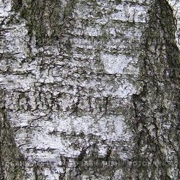 Bark