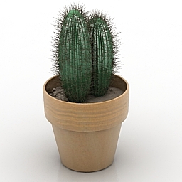 3D Cactus preview