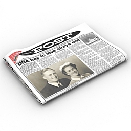 3D Newspaper preview