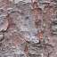 Bark