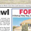 Newspaper