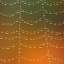 Spiderweb