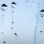 Drops