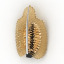 Sconce