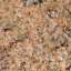 Granite