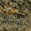 Granite