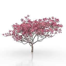 tree 3D Model Preview #7a7f3703