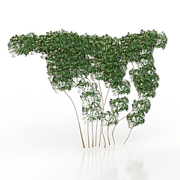 bindweed 3D Model Preview #5159d36a