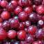 Cranberry