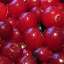 Cranberry