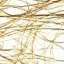 Fibre