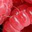 Raspberry