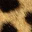 Fur