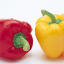 Pepper