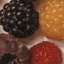 Berries