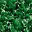 Grass