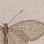 Textile