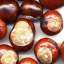 Chestnut