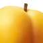 Apricot