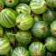 Gooseberry
