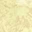 Stucco