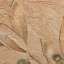 Stucco