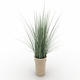 3D Vase preview