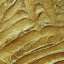 Stucco