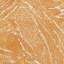 Stucco