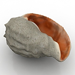 3D Shell preview