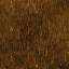 Bark