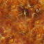 Amber