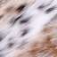 Fur
