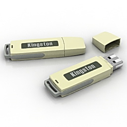 flash card kingston 3D Model Preview #d0479550