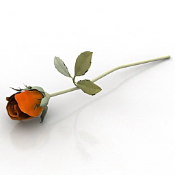 rose 3D Model Preview #54b5d456