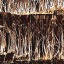 Bark