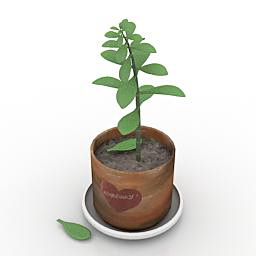 flower 3D Model Preview #c5729057