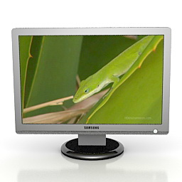 3D Monitor preview