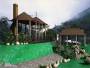 architecture home design