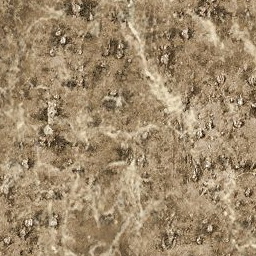 Bark