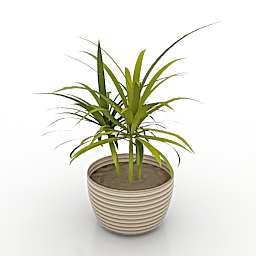 flower 3D Model Preview #02858c55