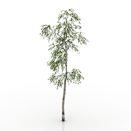 tree 3D Model Preview #3f0496c7