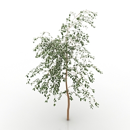 tree 3D Model Preview #885780f1
